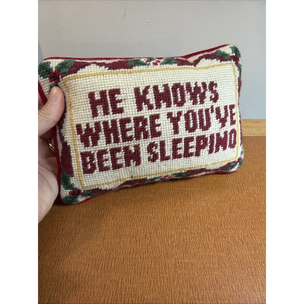 VTG Needlepoint Pillow 9x6 Naughty Cheeky 